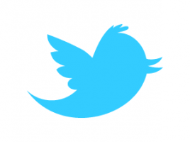Twitter_bird